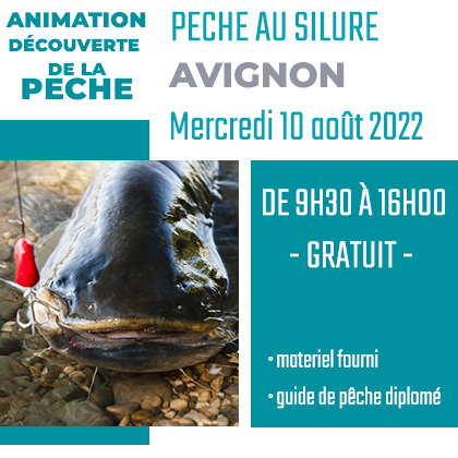 stage-silure-10-aout-2022-parc-des-libertes-peche-vaucluse